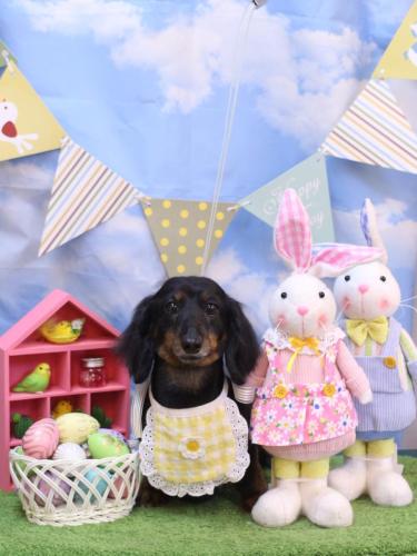 20240320ハルちゃん